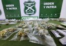 Carabineros realizó allanamientos simultáneos en la localidad de Los Loros